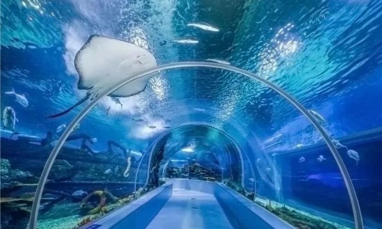 2024年中國海洋主題公園行業(yè)產(chǎn)業(yè)鏈供需布局及發(fā)展前景