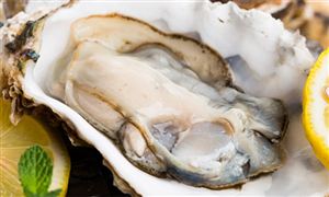 牡蠣養(yǎng)殖面積、市場需求狀況及行業(yè)發(fā)展趨勢