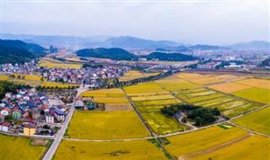美麗鄉(xiāng)村建設(shè)市場投資潛力巨大且發(fā)展前景廣闊