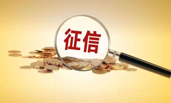 2023年中國征信服務(wù)行業(yè)發(fā)展現(xiàn)狀、競爭格局及發(fā)展前景趨勢分析