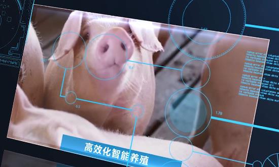 2024智慧養(yǎng)殖產(chǎn)業(yè)現(xiàn)狀、發(fā)展趨勢(shì)、市場(chǎng)機(jī)遇