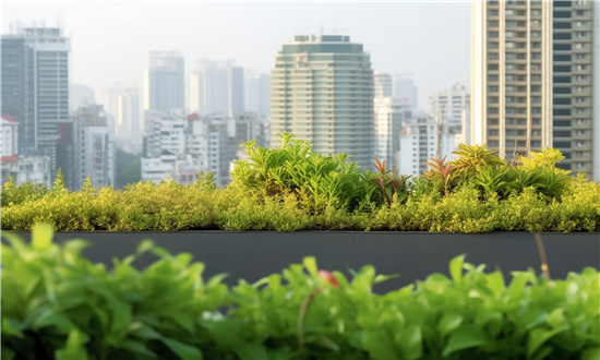 城市園林綠化未來發(fā)展態(tài)勢如何 城市園林綠化行業(yè)市場發(fā)展現(xiàn)狀及未來發(fā)展前景趨勢分析
