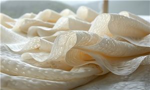 錦綸纖維行業(yè)市場發(fā)展現(xiàn)狀及未來發(fā)展前景趨勢分析