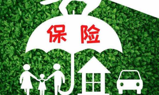 旅游保險(xiǎn)行業(yè)發(fā)展現(xiàn)狀分析、市場(chǎng)需求與機(jī)遇