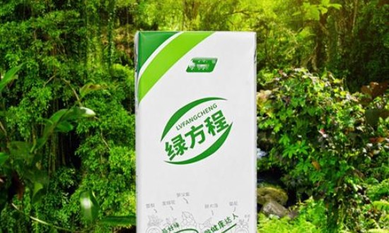 2024年中國植物飲料行業(yè)的產(chǎn)業(yè)鏈上下游結構及投資前景