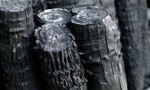 生物質炭行業(yè)上下游市場分析及未來發(fā)展前景