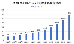 2018-2030年全球及中國抗體偶聯(lián)藥物(ADC)市場規(guī)模分析預(yù)測