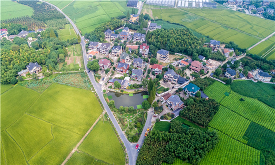 2024年美麗鄉(xiāng)村建設(shè)市場(chǎng)分析研究 美麗鄉(xiāng)村建設(shè)行業(yè)市場(chǎng)未來發(fā)展前景分析