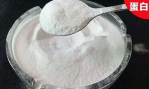 2024年中國原料膠原蛋白行業(yè)的產(chǎn)業(yè)鏈上下游結(jié)構(gòu)及重點(diǎn)企業(yè)