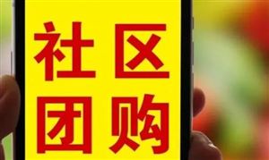 社區(qū)團(tuán)購(gòu)行業(yè)商業(yè)模式、市場(chǎng)現(xiàn)狀、前景研究2024