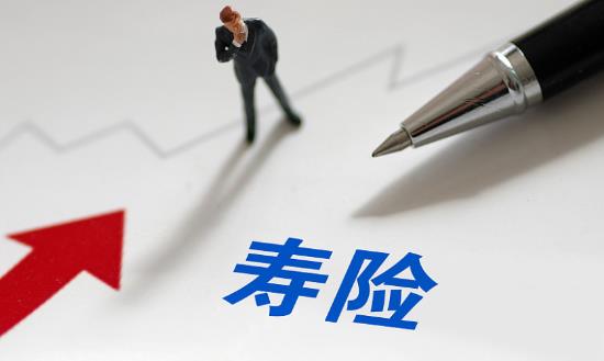 人壽保險龍頭企業(yè)市場現狀與行業(yè)發(fā)展前景研究