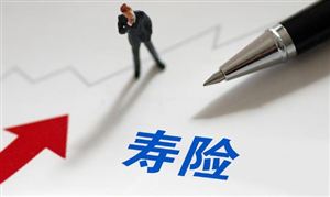 人壽保險龍頭企業(yè)市場現(xiàn)狀與行業(yè)發(fā)展前景研究