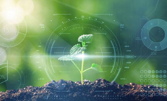 中國現(xiàn)代農(nóng)業(yè)行業(yè)發(fā)展分析 重慶力爭2030年底設(shè)施蔬菜面積達100萬畝
