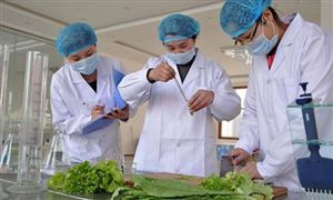 2024年食品安全行業(yè)發(fā)展前景及投資風險預測 麥當勞中國回應過期食材換標簽事件