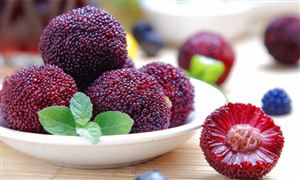 楊梅種植面積、產(chǎn)量及行業(yè)發(fā)展現(xiàn)狀分析