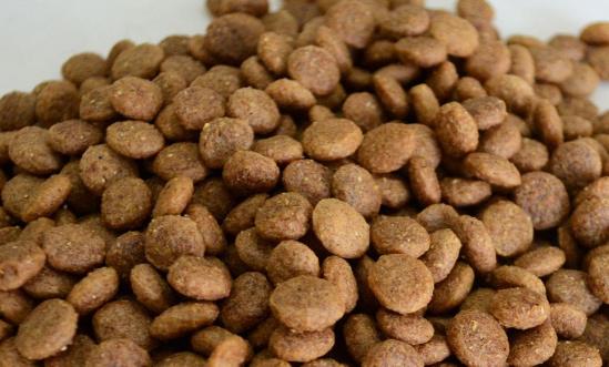 寵物飼料行業(yè)市場機會分析：預計2026年城鎮(zhèn)寵物(犬貓)消費市場規(guī)模達3613億元