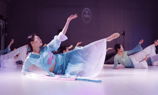2024年民族舞培訓(xùn)機(jī)構(gòu)行業(yè)的產(chǎn)業(yè)鏈分析及投資趨勢(shì)