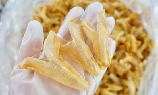 2024年花膠行業(yè)的產(chǎn)業(yè)鏈上下游結(jié)構(gòu)及市場發(fā)展現(xiàn)狀
