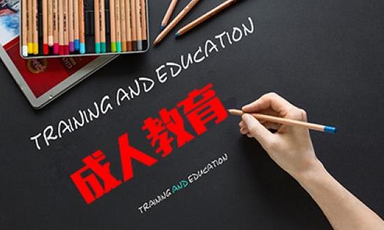 2024成人教育行業(yè)市場現(xiàn)狀與前景研究