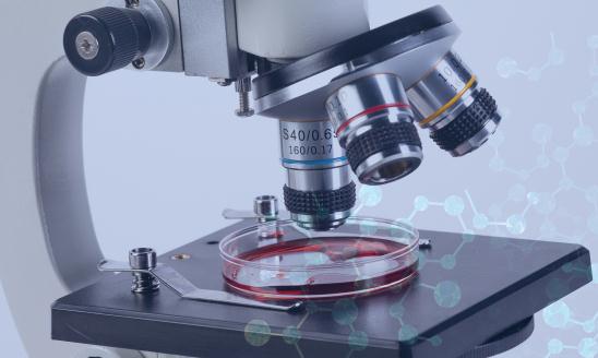 中國微生物技術市場調查分析與發(fā)展趨勢預測