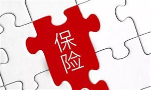 2024保險經紀行業(yè)市場深度調研及投資策略 保險需求趨向多元化將迎來全面智能化時代