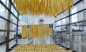 2024年中國大豆深加工行業(yè)的產(chǎn)業(yè)鏈上下游結(jié)構(gòu)及投資前景