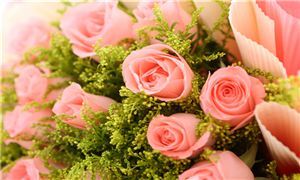 2024鮮花產(chǎn)業(yè)現(xiàn)狀及未來發(fā)展趨勢分析 昆明國際花卉拍賣交易中心五月供貨量激增