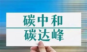 2024年碳中和戰(zhàn)略深度調研及發(fā)展預測報告 在2030年前實現(xiàn)碳達峰