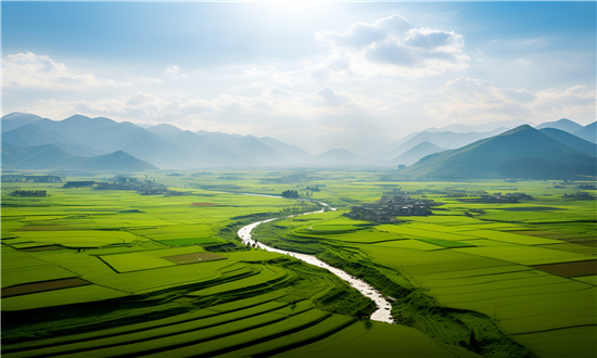 2024年農(nóng)村電商行業(yè)市場(chǎng)發(fā)展現(xiàn)狀及未來發(fā)展前景分析
