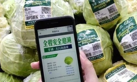 2024年中國食品溯源行業(yè)的產(chǎn)業(yè)鏈上下游結構及投資潛力分析