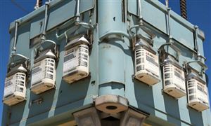 2024年電力產業(yè)現(xiàn)狀及未來發(fā)展趨勢分析