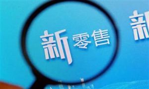 2024新零售行業(yè)深度調研與投資戰(zhàn)略咨詢報告 蘇寧易購大店攻略提速