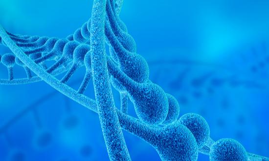 2024年中國生物刺激素行業(yè)現(xiàn)狀及未來發(fā)展趨勢分析