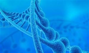 2024年中國生物刺激素行業(yè)現(xiàn)狀及未來發(fā)展趨勢分析