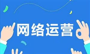 2024年網(wǎng)絡(luò)運(yùn)營行業(yè)市場(chǎng)調(diào)查與發(fā)展前景分析