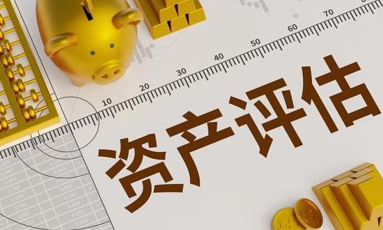 2024資產(chǎn)評估行業(yè)市場分析與前景預(yù)測