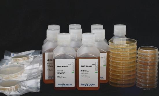 2024生物基材料行業(yè)發(fā)展分析及投資預(yù)測