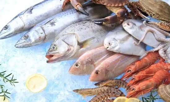 水產(chǎn)品行業(yè)產(chǎn)品入市調(diào)研與未來消費趨向2024