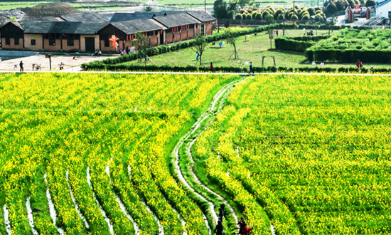 生態(tài)度假農(nóng)莊行業(yè)發(fā)展現(xiàn)狀 生態(tài)度假農(nóng)莊行業(yè)未來(lái)市場(chǎng)前景