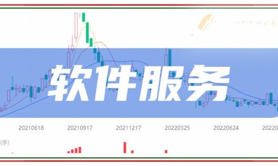 2024年中國(guó)軟件服務(wù)行業(yè)現(xiàn)狀及前景趨勢(shì)分析