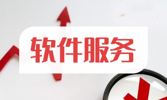 2024年中國(guó)軟件服務(wù)行業(yè)市場(chǎng)調(diào)查與發(fā)展前景分析