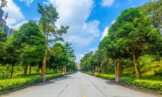 社區(qū)衛(wèi)生信息化行業(yè)報(bào)告 社區(qū)衛(wèi)生信息化行業(yè)產(chǎn)業(yè)鏈全景分析