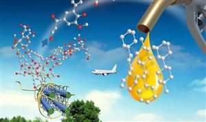 2024航空生物燃油行業(yè)深度分析及發(fā)展策略研究 國(guó)產(chǎn)商用飛機(jī)完成首次加注生物航空燃油飛行