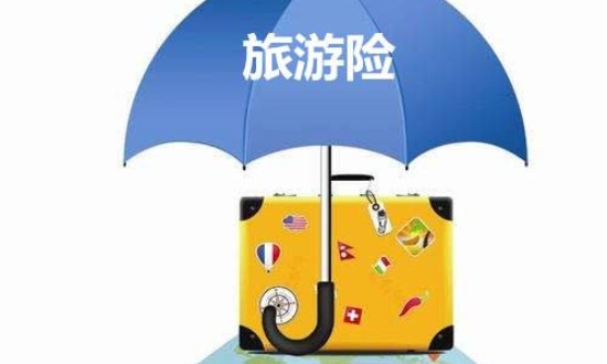 2024年中國(guó)旅游保險(xiǎn)行業(yè)的產(chǎn)業(yè)鏈上下游結(jié)構(gòu)及投資趨勢(shì)分析