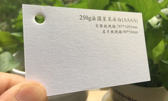 2024年中國特種紙行業(yè)的技術(shù)壁壘及投資趨勢(shì)分析