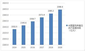 2024-2029年中國蛋雞養(yǎng)殖行業(yè)投資策略分析