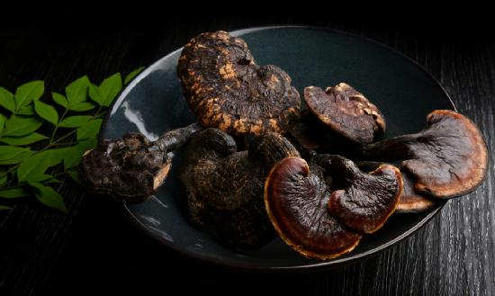 靈芝行業(yè)現(xiàn)狀及前景分析 靈芝藥食同源的開發(fā)和應(yīng)用將會迎來新的突破