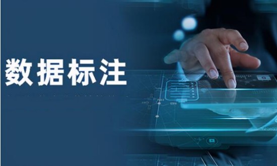 2024年中國數(shù)據(jù)標注行業(yè)的產(chǎn)業(yè)鏈上下游結構及投資風險分析