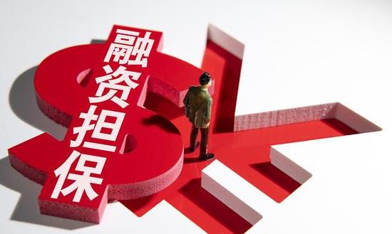 擔(dān)保業(yè)務(wù)管理系統(tǒng)