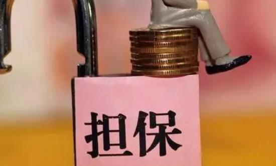 2024擔(dān)保行業(yè)市場(chǎng)發(fā)展環(huán)境分析與前景研究